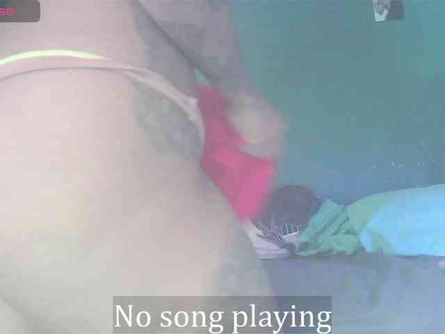 stella-clitella webcam