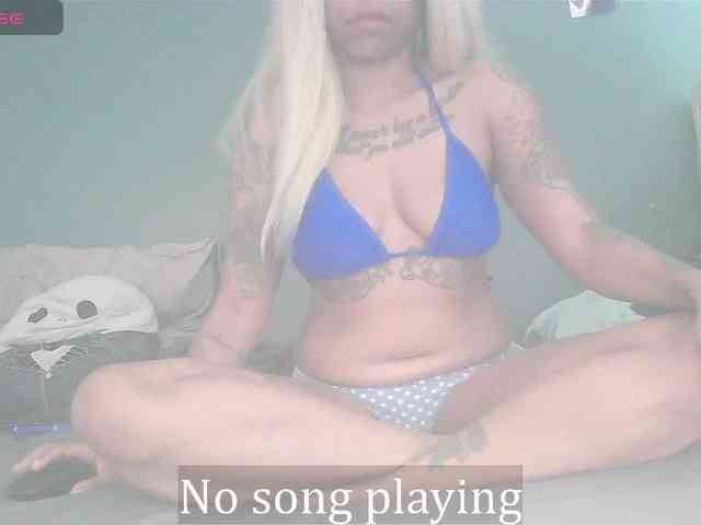 stella-clitella webcam