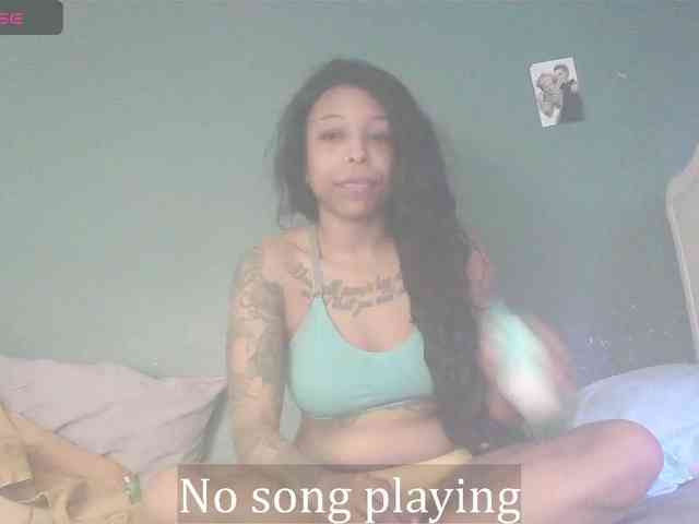 stella-clitella webcam