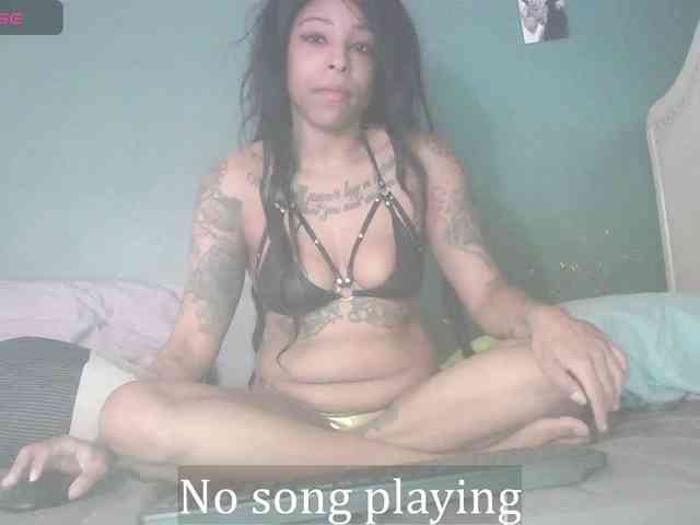 stella-clitella webcam