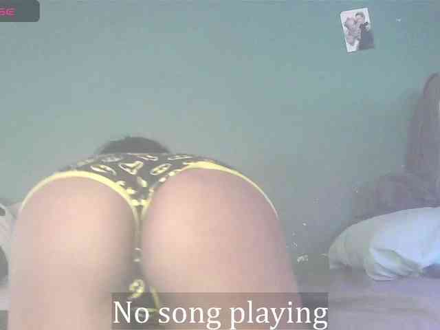 stella-clitella webcam