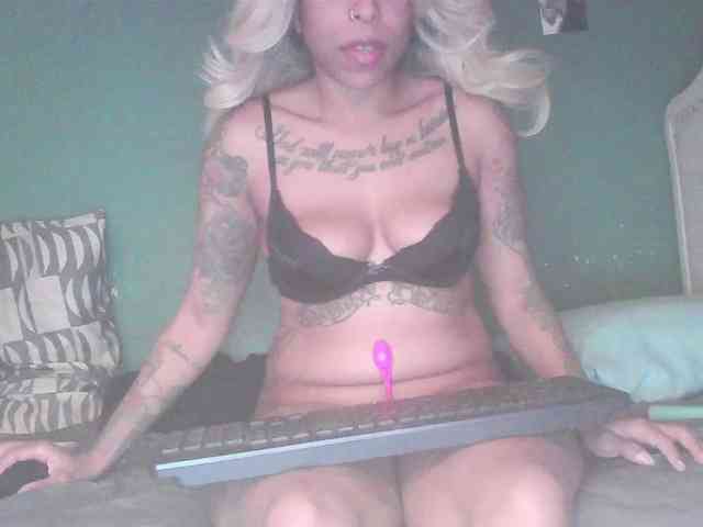 stella-clitella webcam