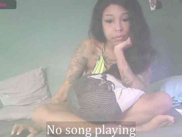 stella-clitella webcam