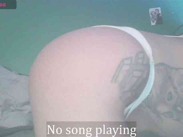 stella-clitella webcam