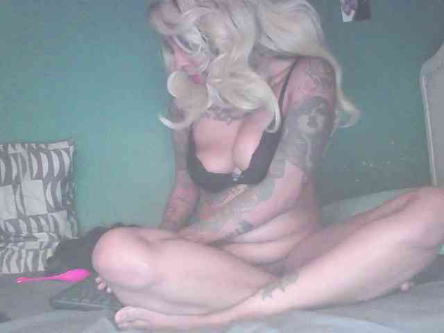 stella-clitella webcam