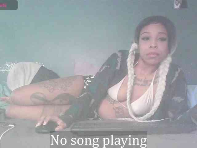 stella-clitella webcam