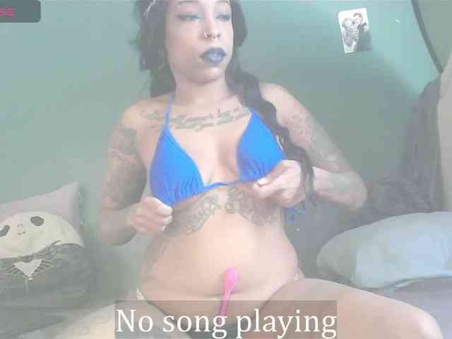 stella-clitella webcam