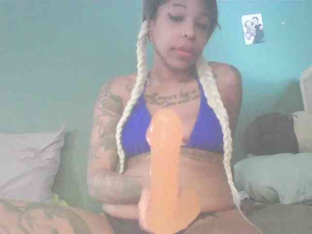 stella-clitella webcam