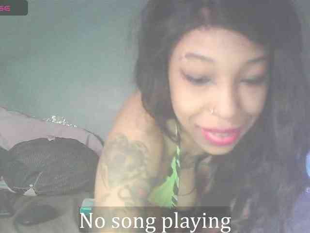 stella-clitella webcam