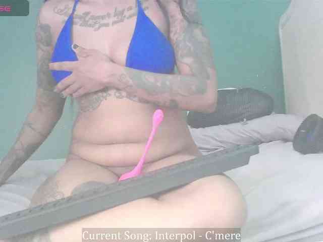 stella-clitella webcam