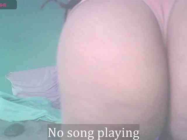 stella-clitella webcam