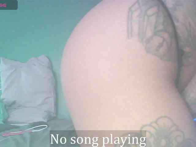 stella-clitella webcam