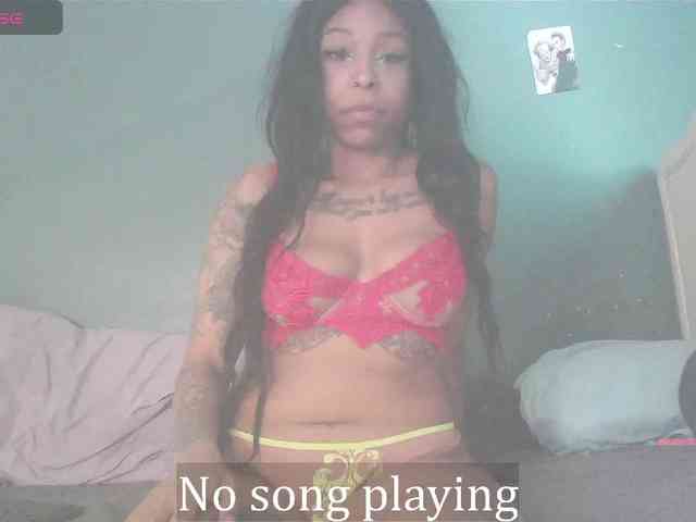 stella-clitella webcam