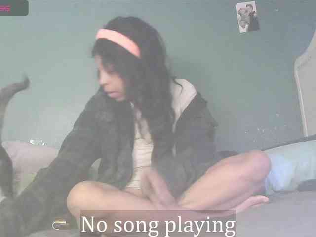 stella-clitella webcam