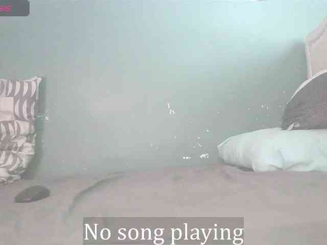 stella-clitella webcam