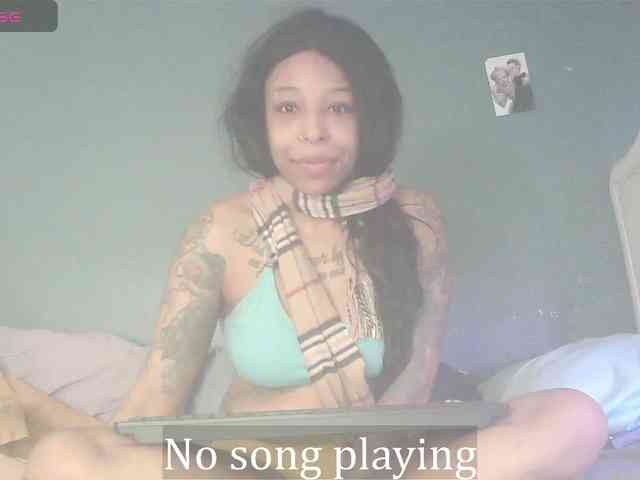 stella-clitella webcam