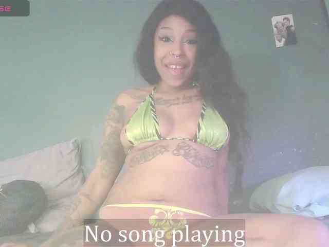 stella-clitella webcam