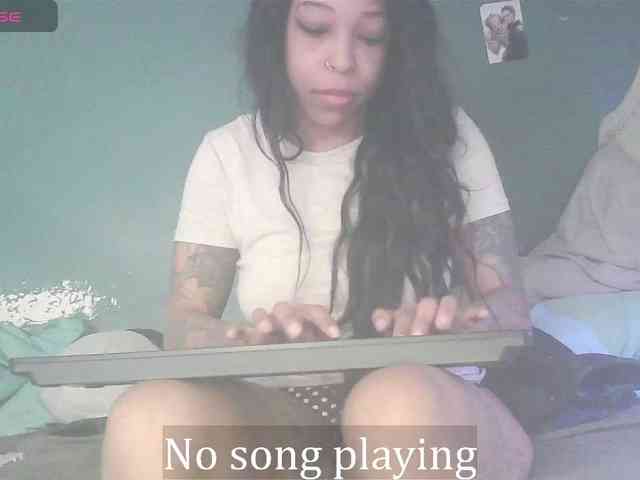 stella-clitella webcam