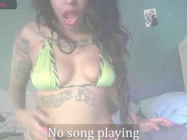 stella-clitella webcam