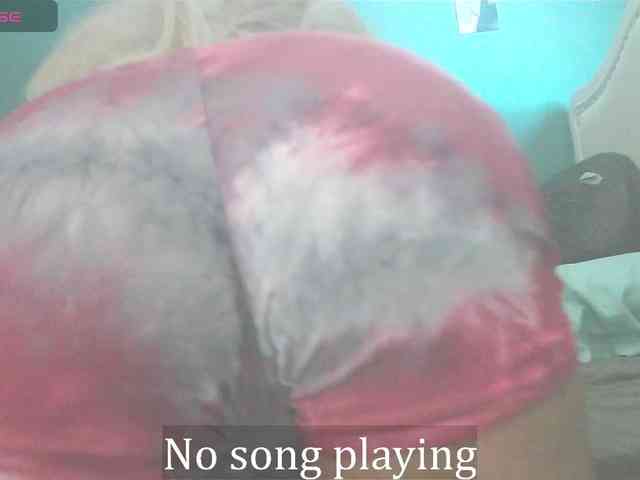 stella-clitella webcam