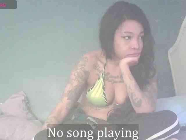 stella-clitella webcam