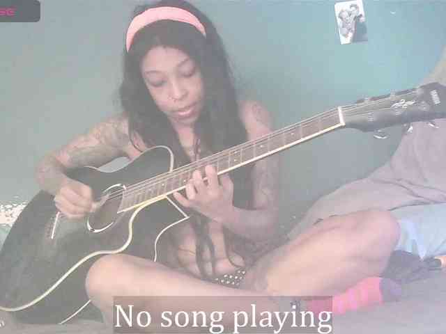 stella-clitella webcam