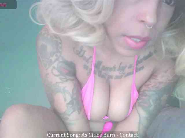 stella-clitella webcam
