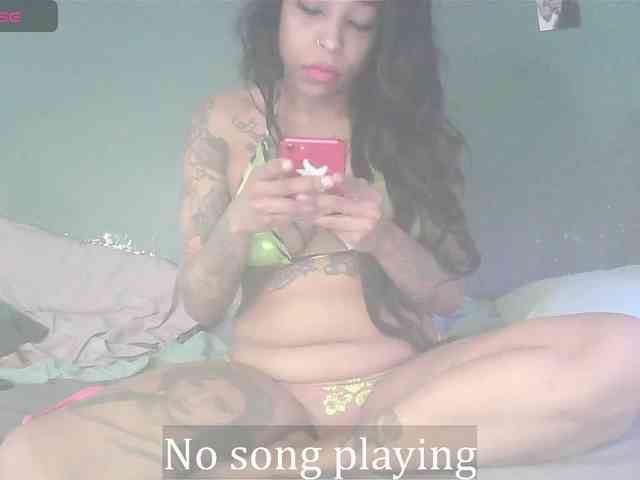 stella-clitella webcam