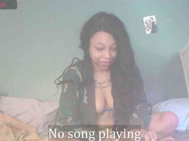 stella-clitella webcam