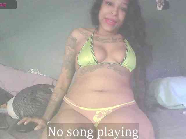 stella-clitella webcam