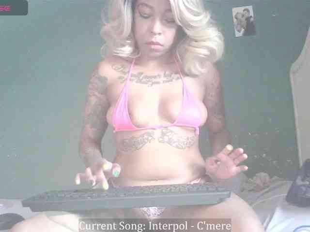 stella-clitella webcam