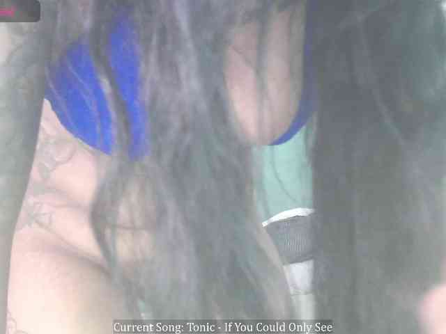 stella-clitella webcam