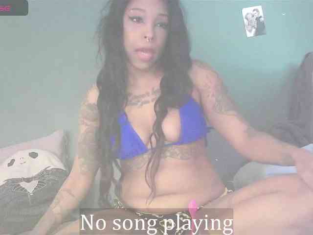 stella-clitella webcam