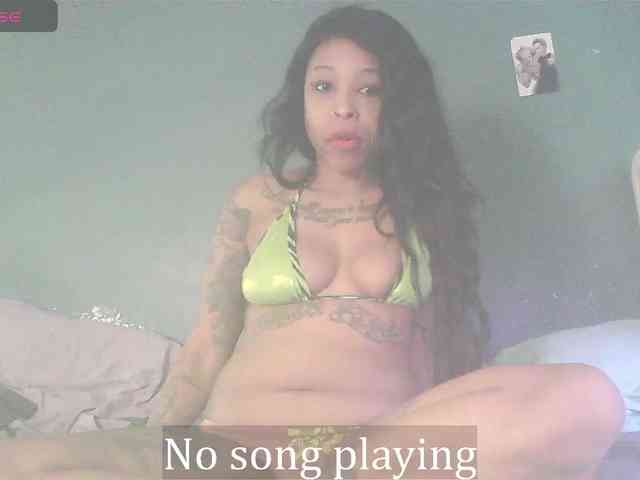 stella-clitella webcam