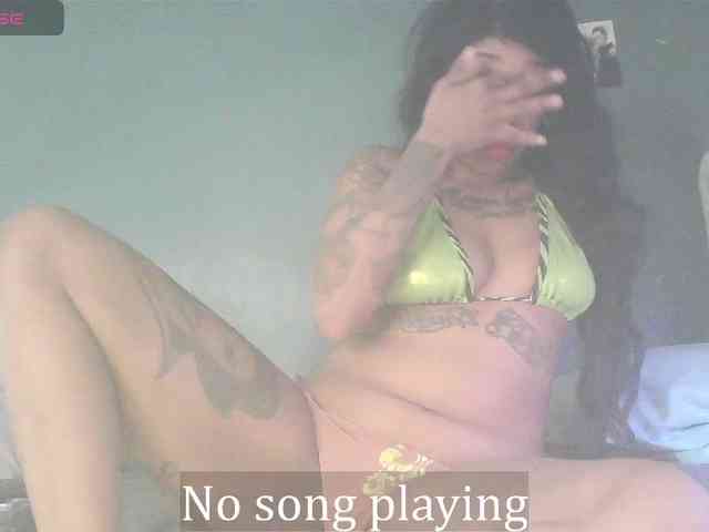 stella-clitella webcam