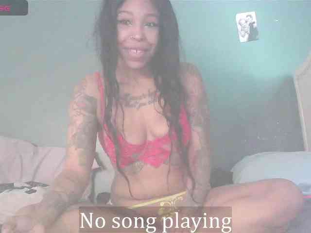 stella-clitella webcam