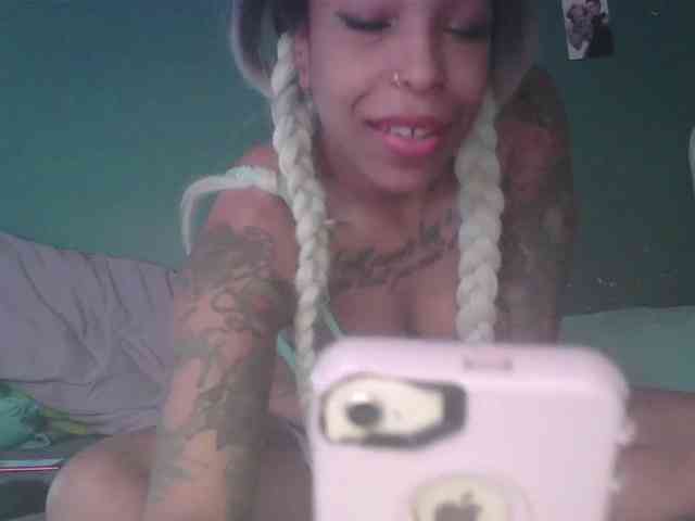 stella-clitella webcam