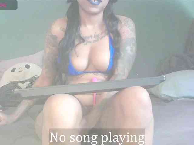 stella-clitella webcam