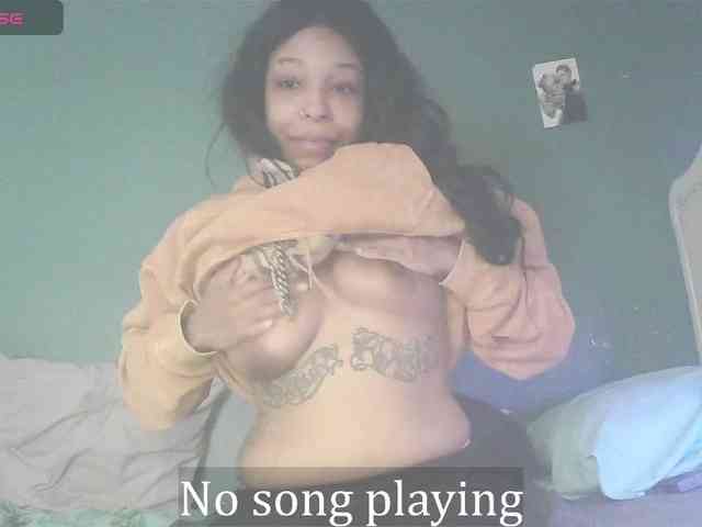 stella-clitella webcam