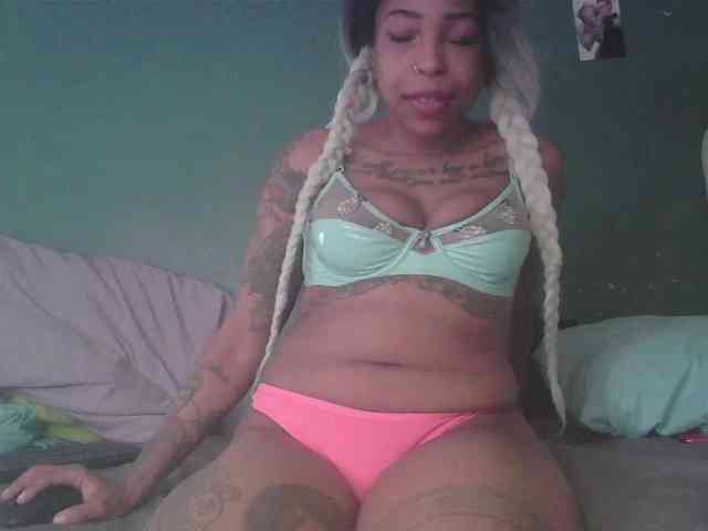 stella-clitella webcam