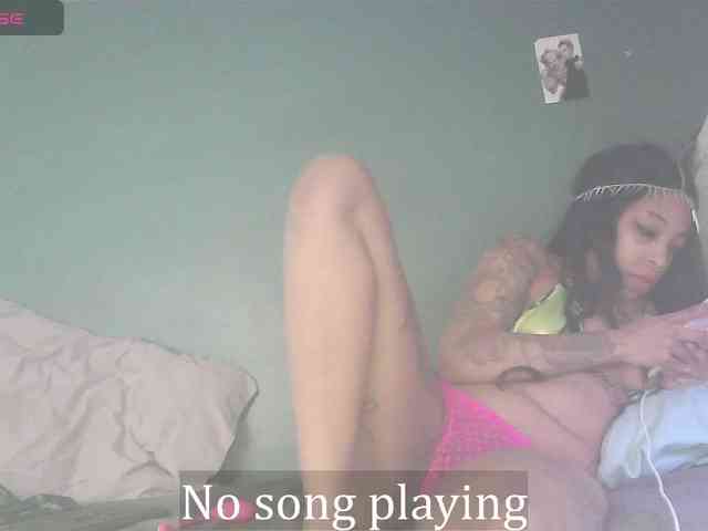 stella-clitella webcam