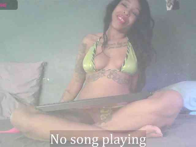 stella-clitella webcam