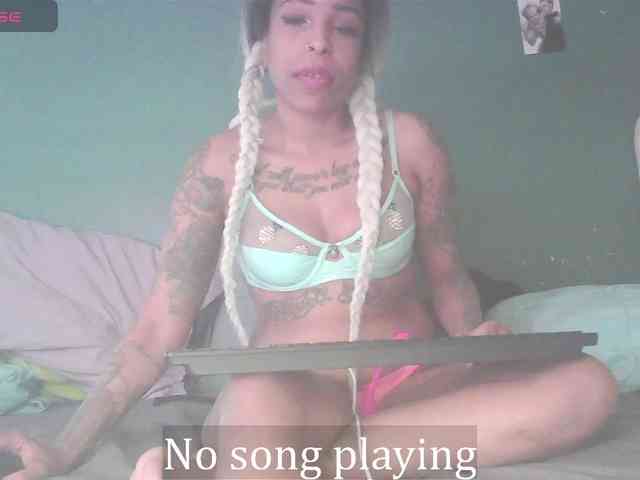 stella-clitella webcam