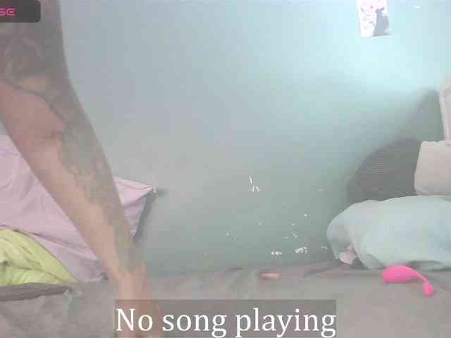 stella-clitella webcam