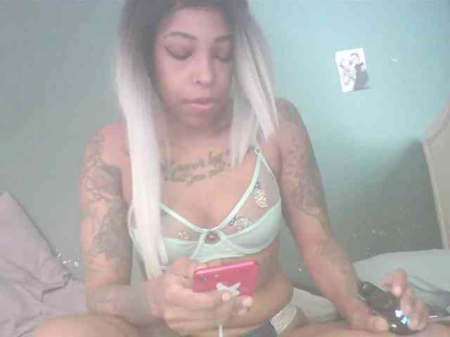 stella-clitella webcam