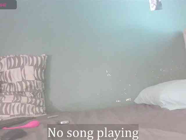 stella-clitella webcam