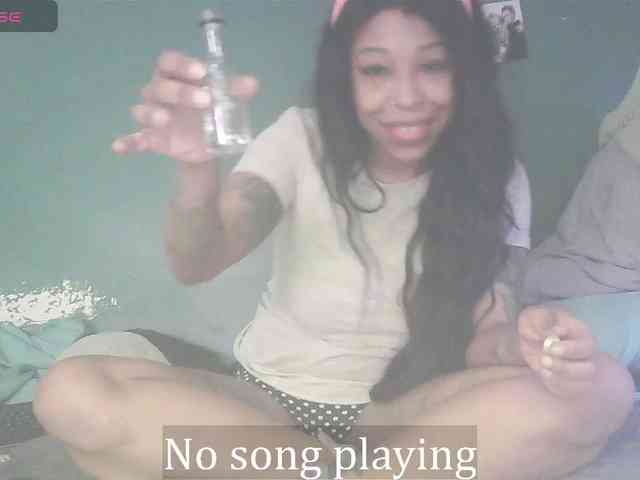 stella-clitella webcam