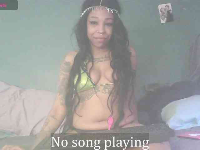 stella-clitella webcam