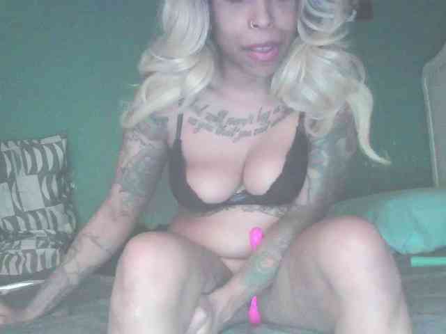 stella-clitella webcam