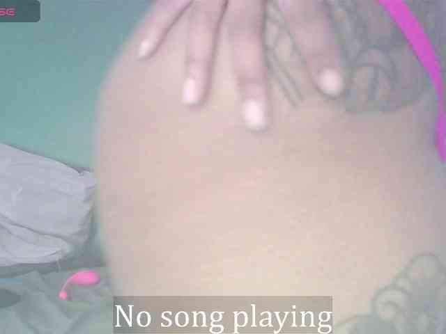 stella-clitella webcam